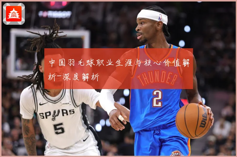 中国羽毛球职业生涯与核心价值解析-深度解析