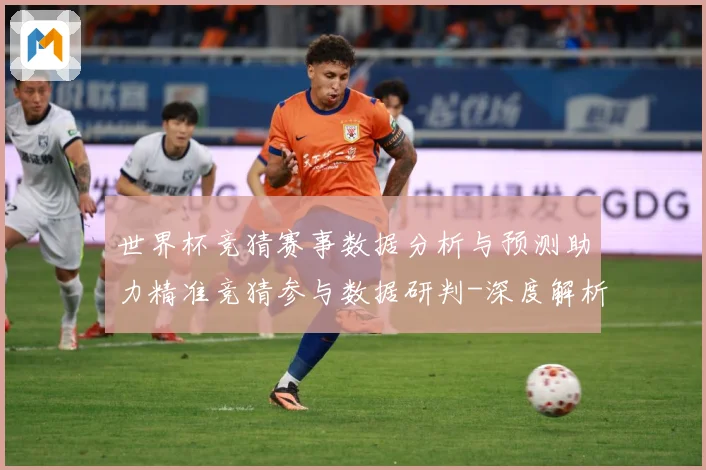 世界杯竞猜赛事数据分析与预测助力精准竞猜参与数据研判-深度解析