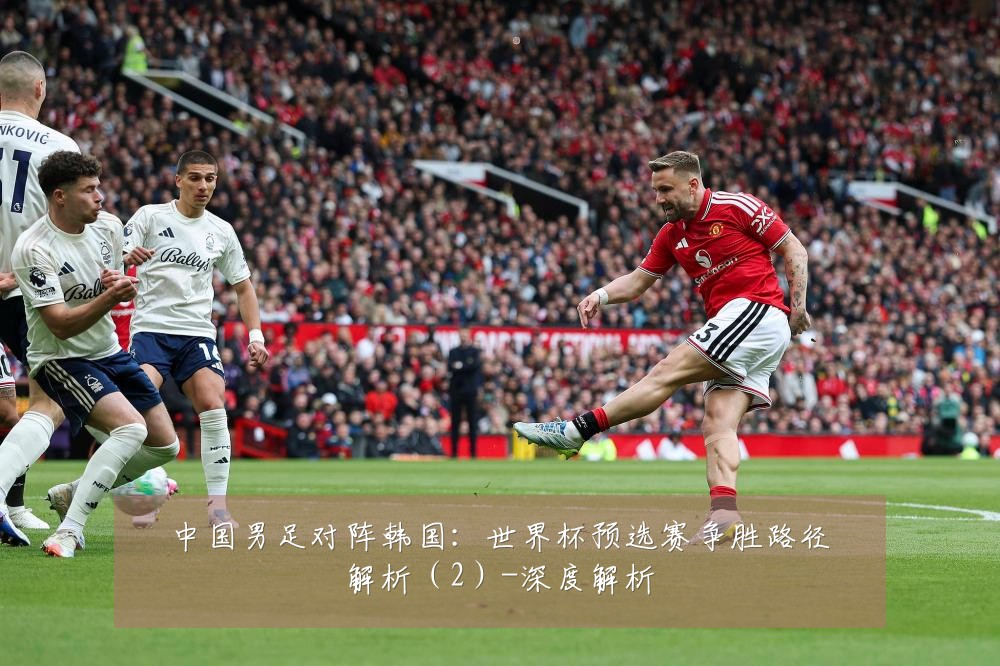 中国男足对阵韩国:世界杯预选赛争胜路径解析(2)-深度解析