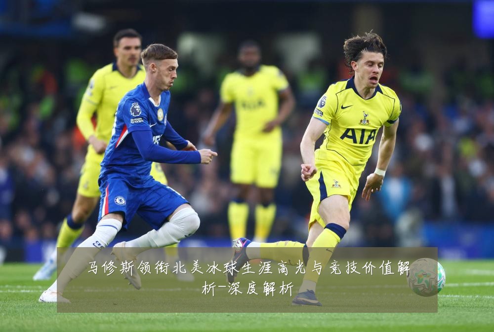 马修斯领衔北美冰球生涯高光与竞技价值解析-深度解析